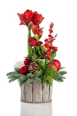 Picture of Arrangement with Amaryllis