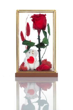 Beauty & The Beast Terrarium Red Μικρό