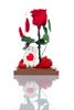 Beauty & The Beast Terrarium Red Μικρό