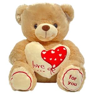 Picture of Teddy Bear "Love For You"