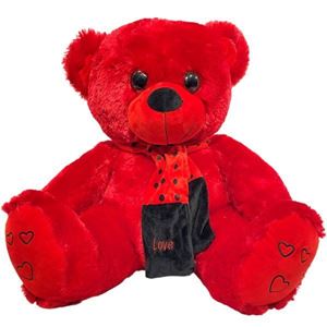 Picture of Red Love Teddy Bear